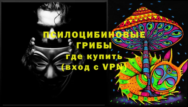 МДПВ Богородск